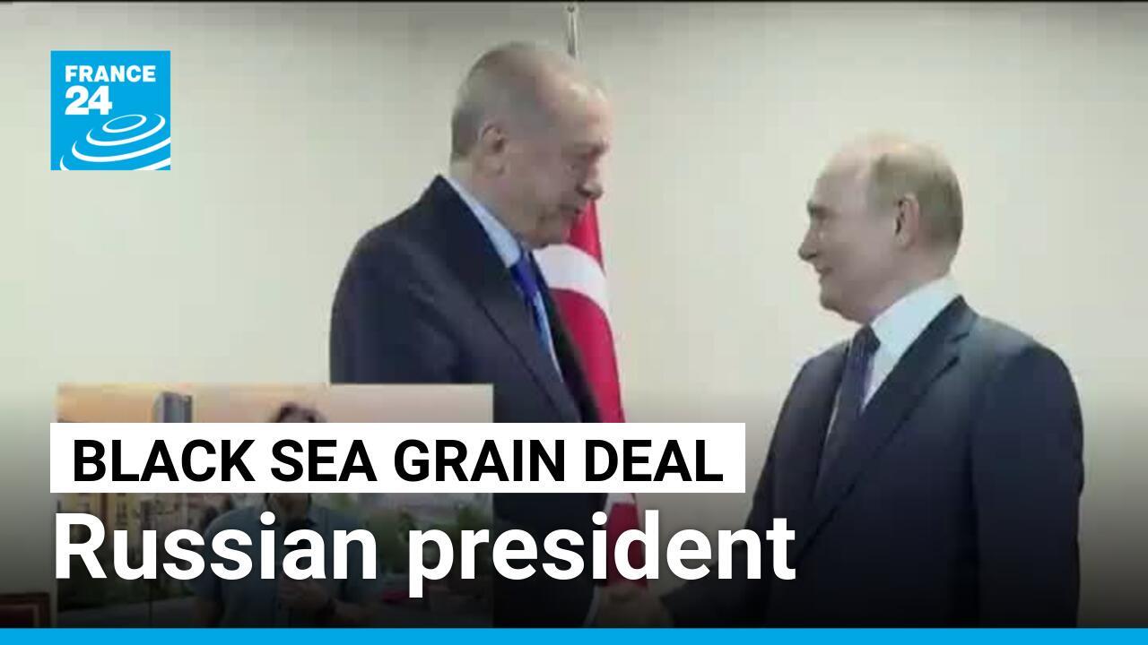 Black sea grain deal: Russian president Putin to host Erdogan for talks next week